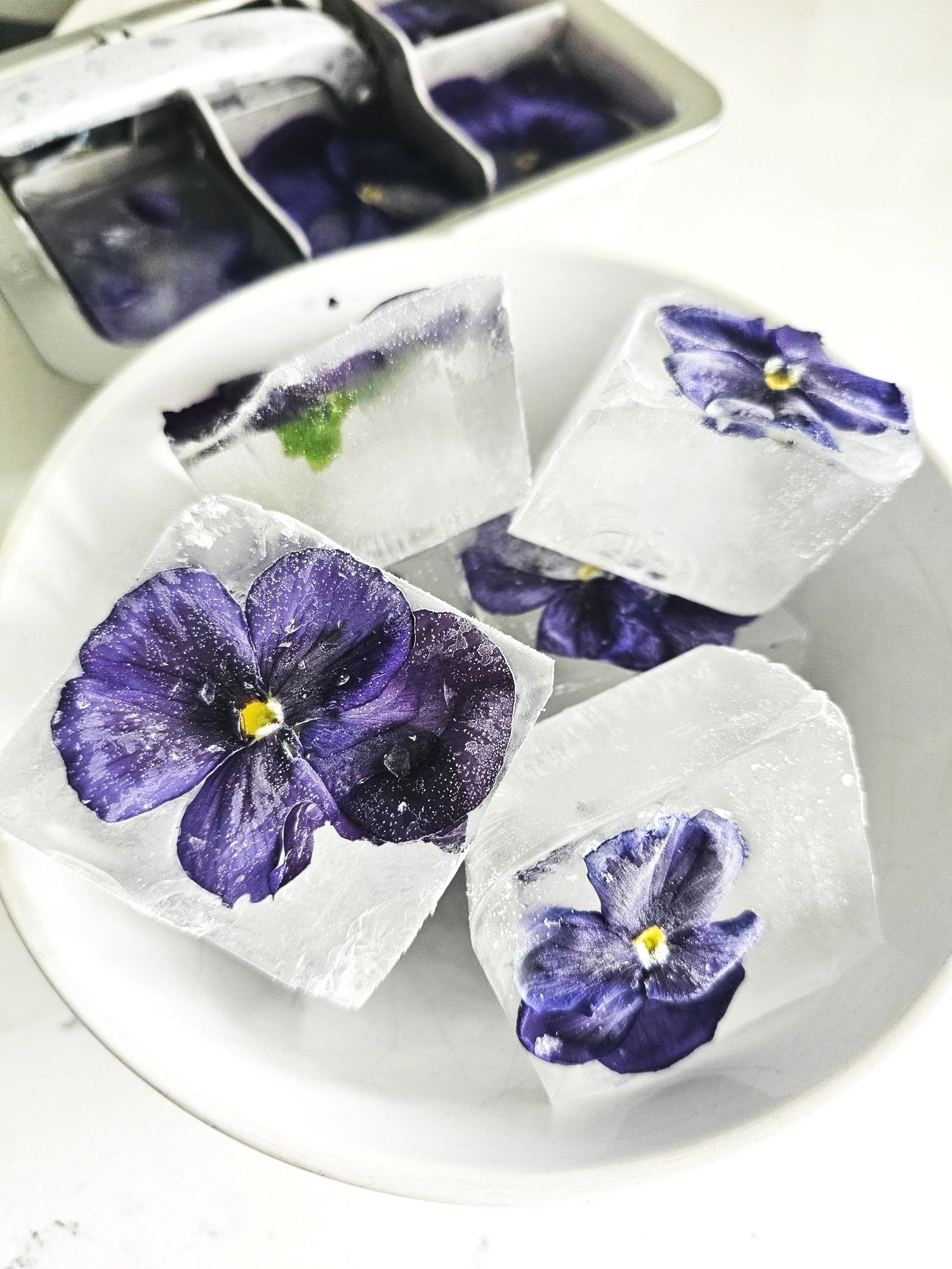 Blooming Elegance_ Pansy Ice Cubes