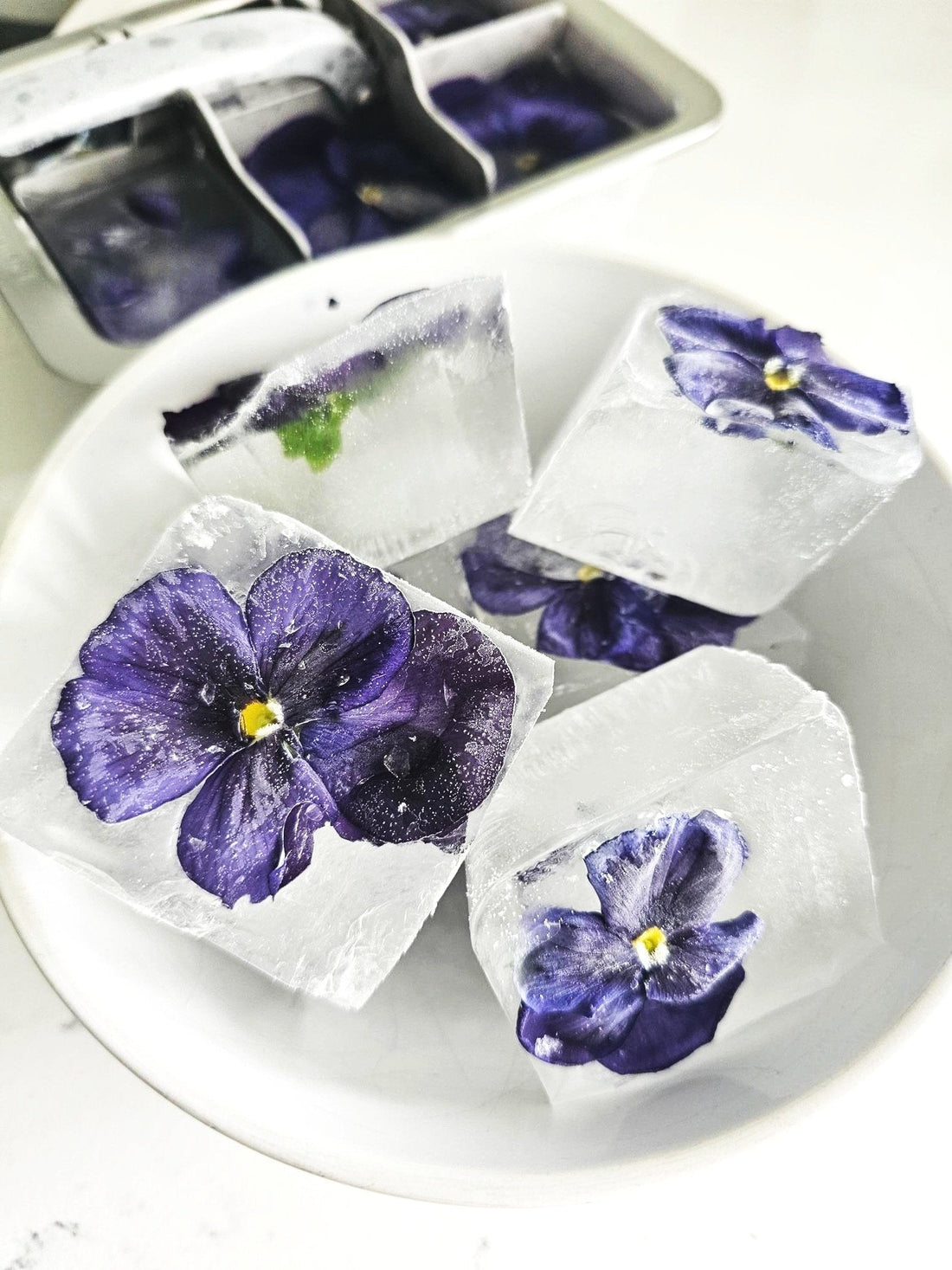 How to Make Pansy Ice Cubes: Flower-Infused Ice for Drinks