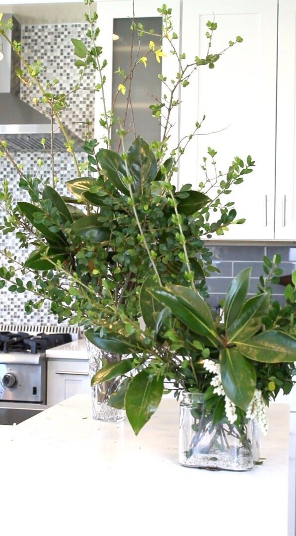 Foraged Foliage Arrangement - Hedman Soto